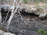 rrente Quarantore-201011107 152